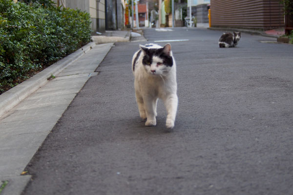 横を見ながらやって来る坊