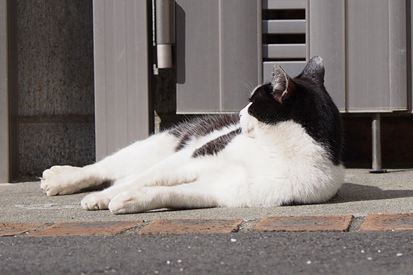 ちらちらとベンチを見るテルマ