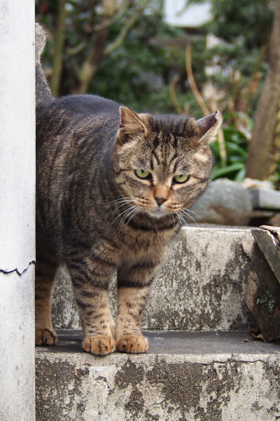 タビッツのお出迎え