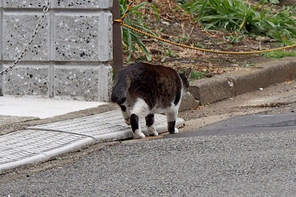 出てきたリン