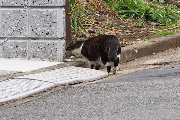 匂いチェックリン