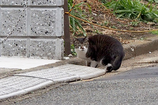 どよんとした目をしているリン