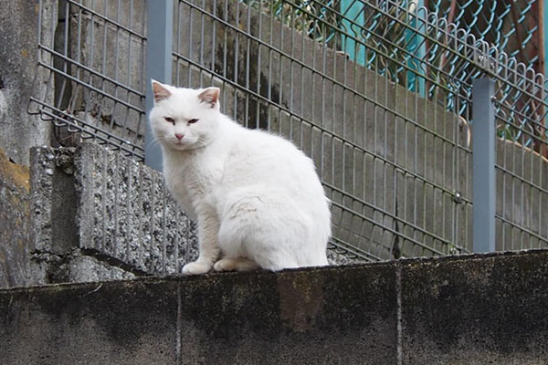 アップにしても変わらず