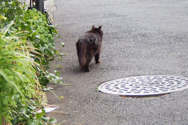 ちょっと止まって