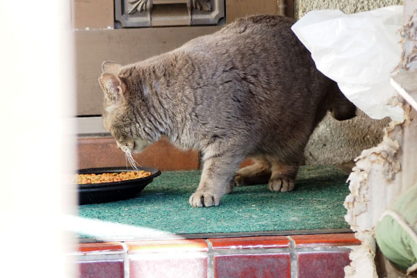 シピのお食事隠し撮り風１