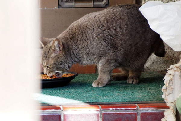 シピのお食事隠し撮り風２