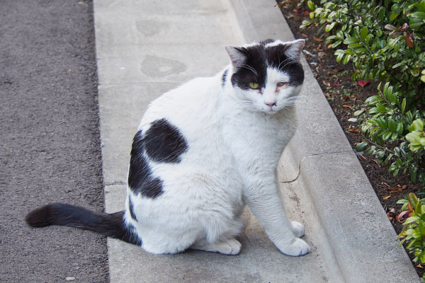 テーブルで待つ坊