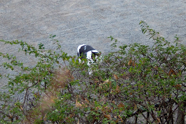 下の広場にムーン