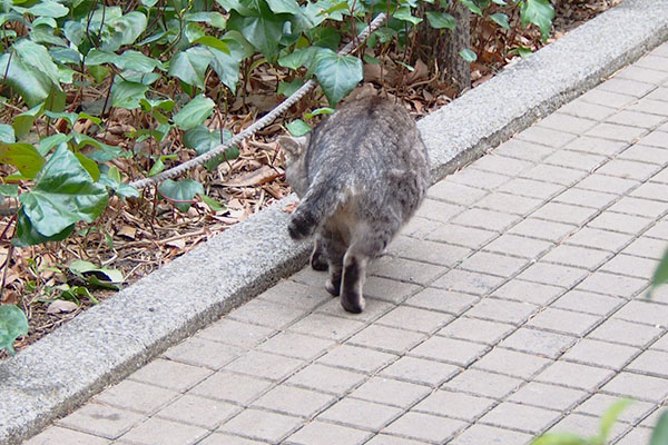 我慢の限界