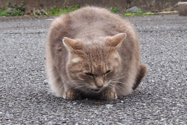 近くに置かないと食べない