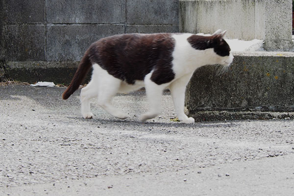 そだ２階のベランダいこ