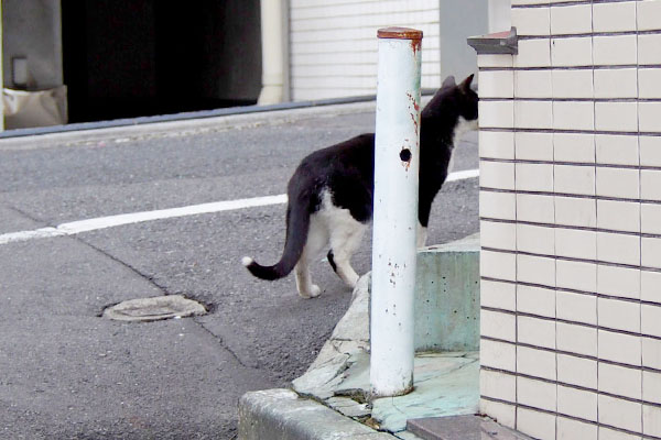 スイッチの後ろ姿