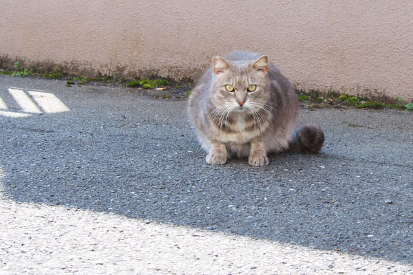 オヤツは日陰で