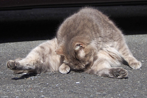 太ももの付け根