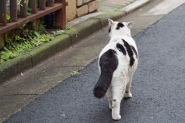 歩み寄る坊