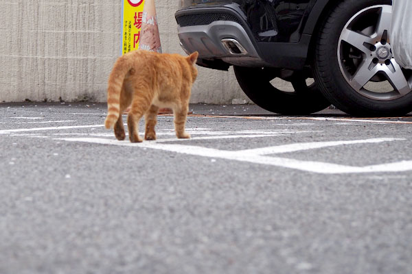 ２階のベランダへ向かっている