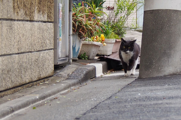 松邸からお隣りへ