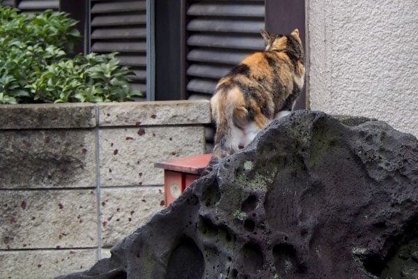 岩の上オトワ