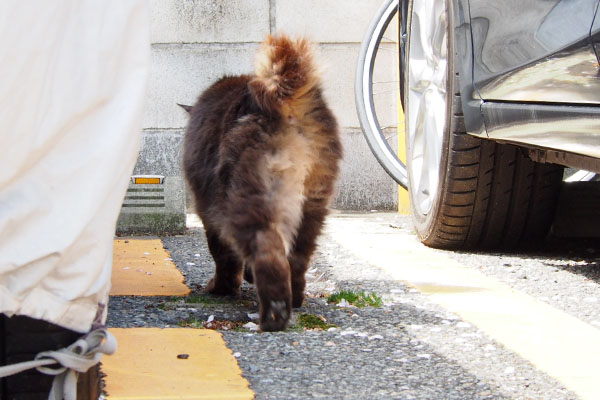 ボクが移動します