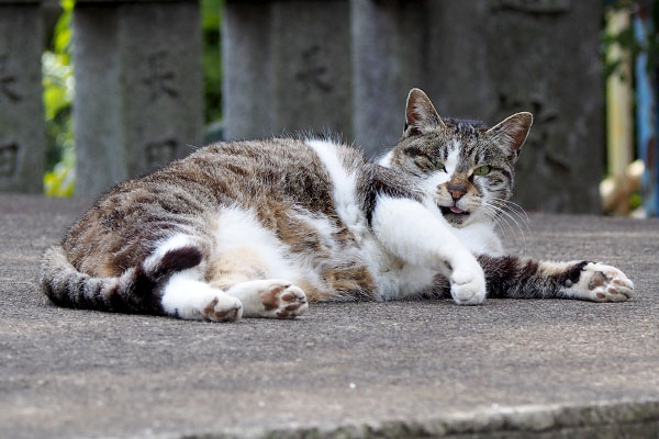 むくりと起き上がる雫