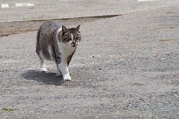 付いてくる雫