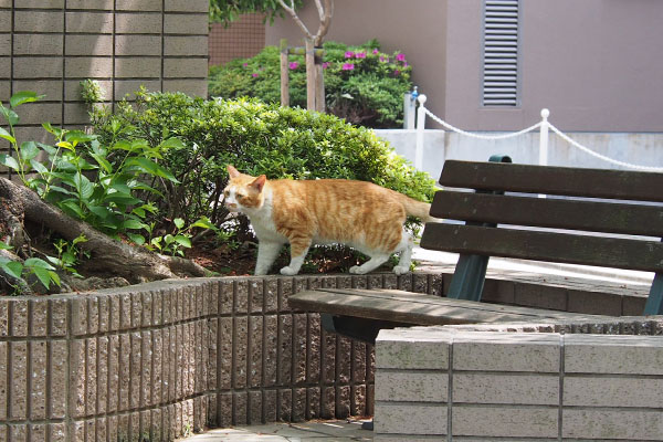 クライがベンチに登場