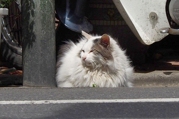 道路を挟んで