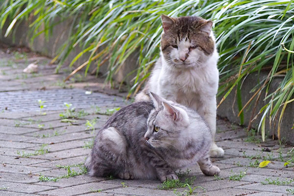 夫婦に見えなくもないけど