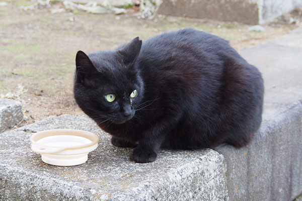 名前を呼ばれて振り向くココ