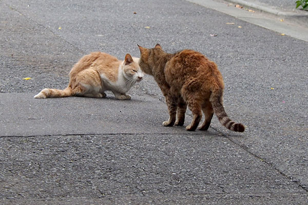 むぎ少し動く