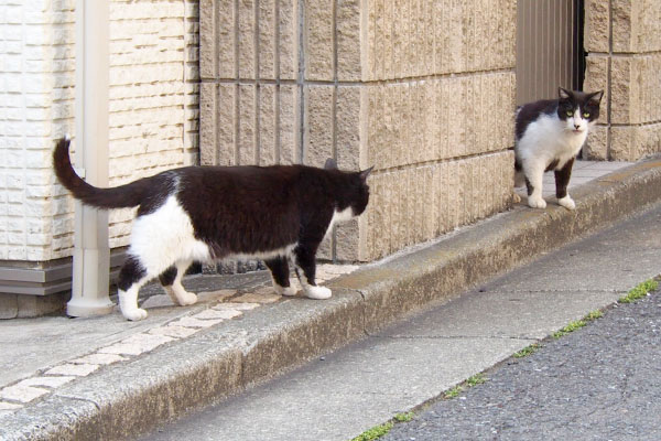 墨もやって来た