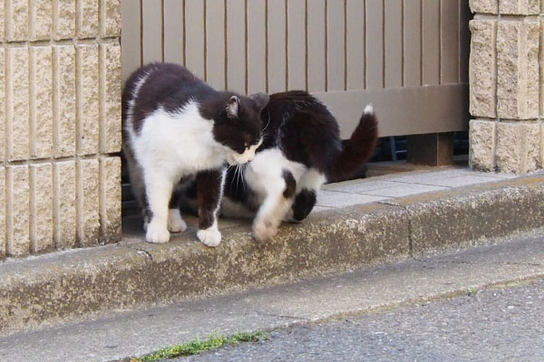 脇を通過する墨