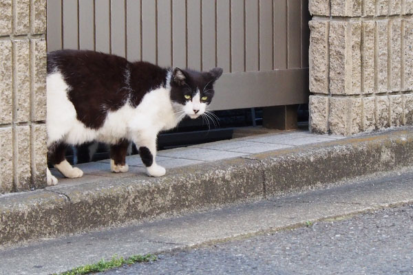 警戒の目