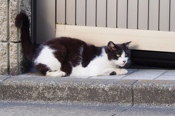 誰かが来るのか監視中