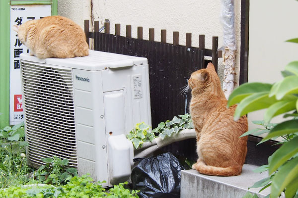 お尻を向けるひま