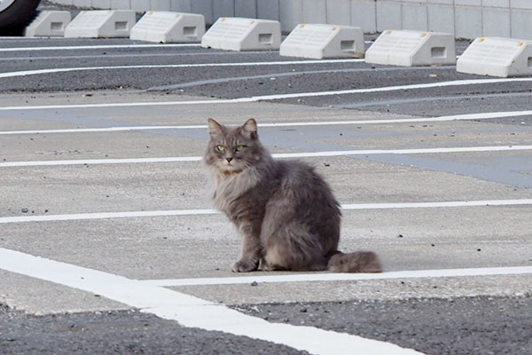 少し斜め上を見る