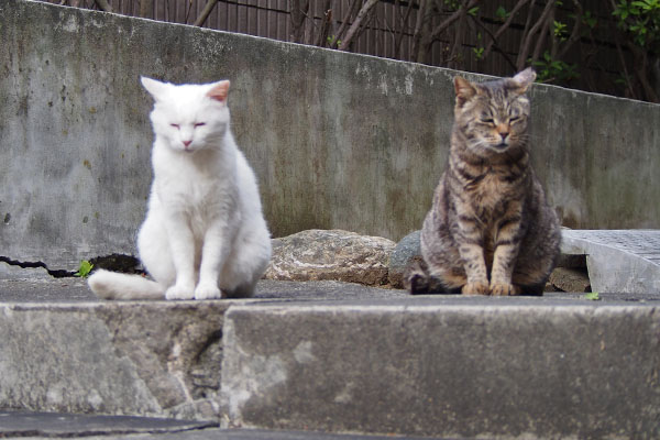 別れ際のハクとタビッツ