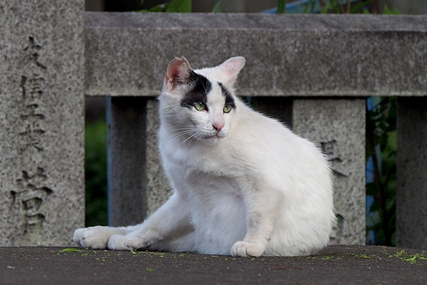 業者さんを見る