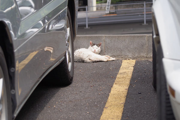 ゆっくりお休みね