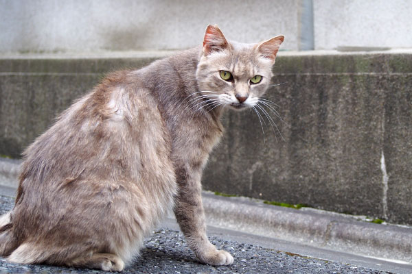 舐め跡がたくさんある背中