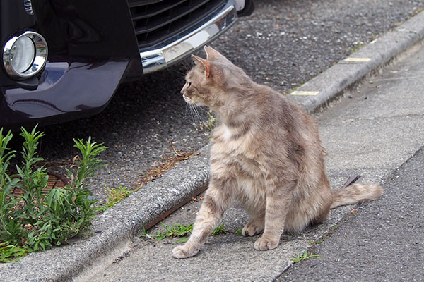 おじさんを警戒