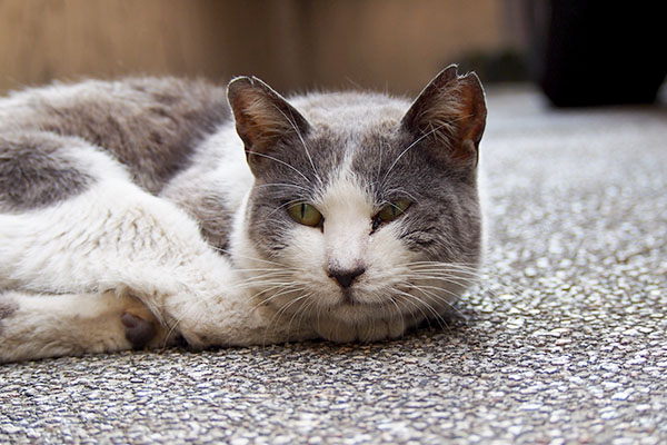 姉にゃんお隣り地面起きてる