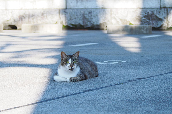 雫駐ニャ中