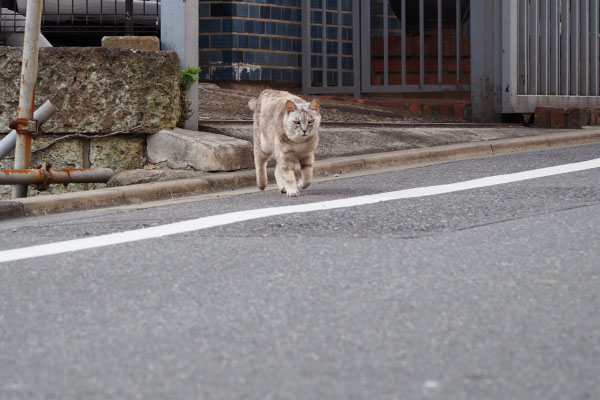 銀接近１