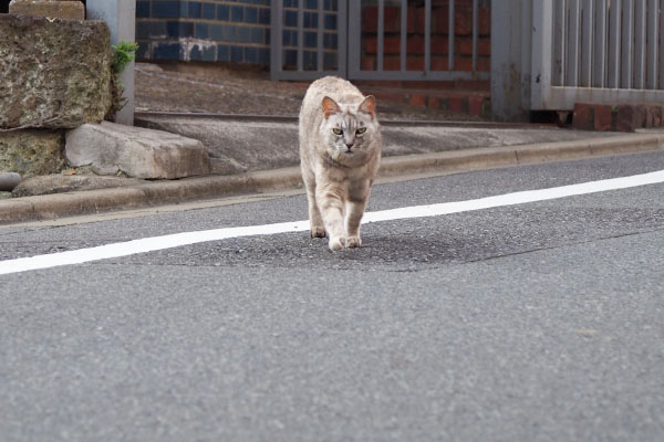 銀接近２