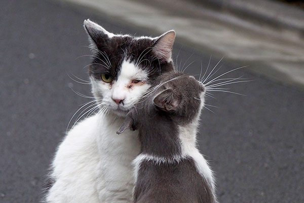 ちび頭をスリつけ良い写真