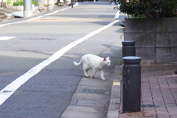 りり松邸から出て来たところ