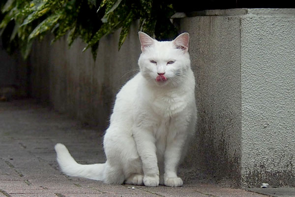 ご満悦なリリ