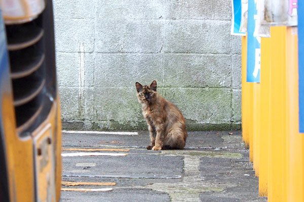 帰り際のチイちゃんは地上に