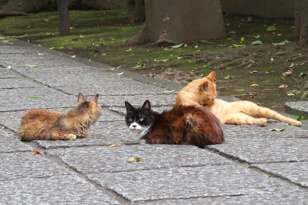 まだ来ていない２カラのお顔